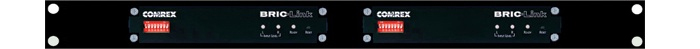 2x BricLink Codecs in 1-U rack adapter